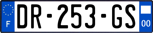 DR-253-GS