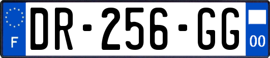 DR-256-GG