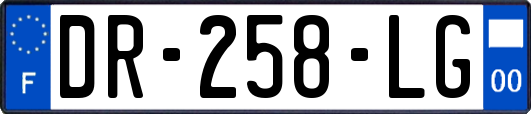 DR-258-LG