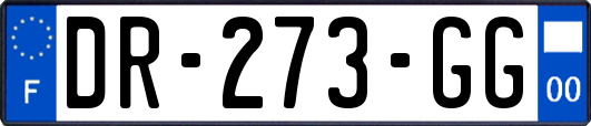 DR-273-GG