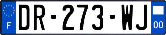 DR-273-WJ