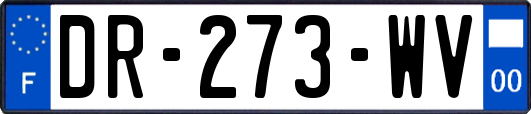 DR-273-WV