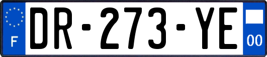 DR-273-YE