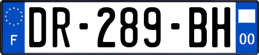 DR-289-BH