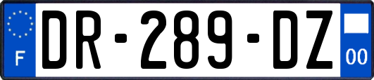 DR-289-DZ