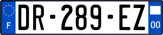 DR-289-EZ