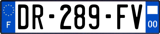 DR-289-FV