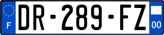 DR-289-FZ