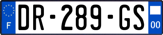 DR-289-GS