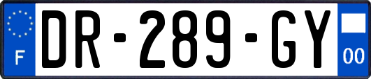 DR-289-GY