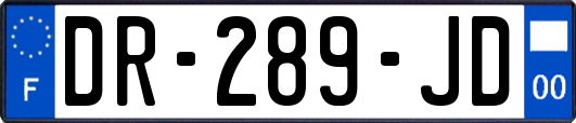 DR-289-JD
