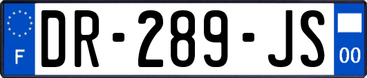 DR-289-JS