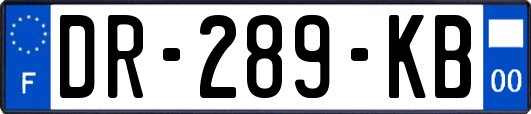 DR-289-KB