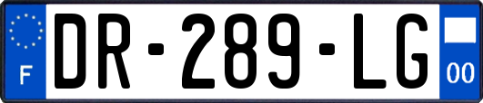 DR-289-LG