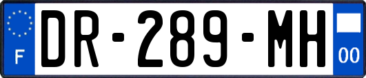 DR-289-MH