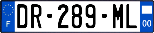 DR-289-ML