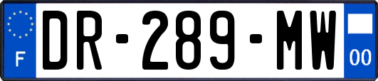 DR-289-MW