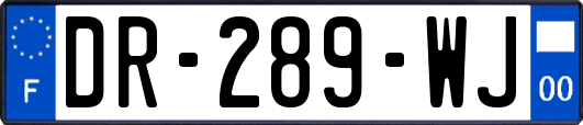 DR-289-WJ