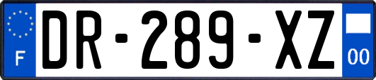 DR-289-XZ