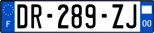 DR-289-ZJ