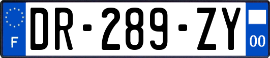 DR-289-ZY