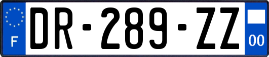 DR-289-ZZ