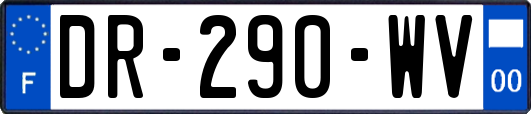 DR-290-WV