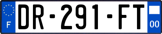 DR-291-FT