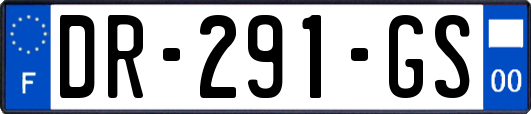 DR-291-GS