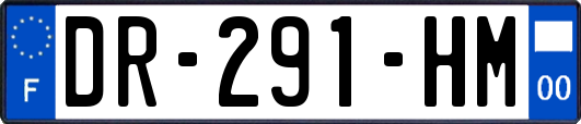 DR-291-HM