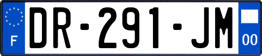 DR-291-JM