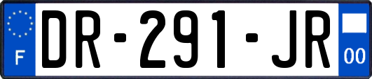 DR-291-JR