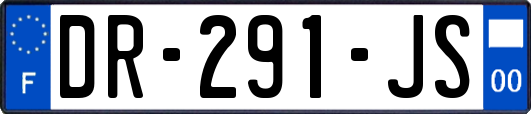 DR-291-JS