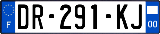 DR-291-KJ