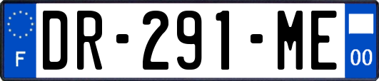 DR-291-ME
