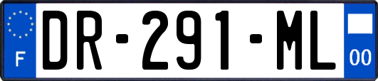 DR-291-ML