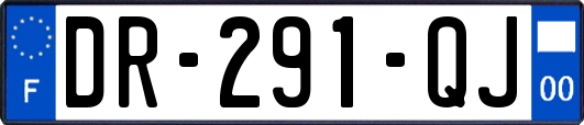 DR-291-QJ