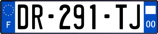 DR-291-TJ