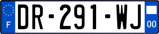 DR-291-WJ