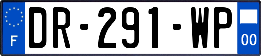 DR-291-WP