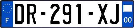 DR-291-XJ