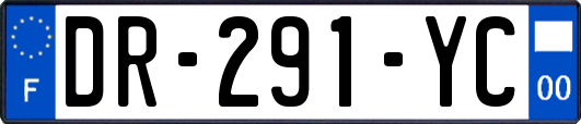 DR-291-YC