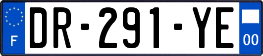DR-291-YE