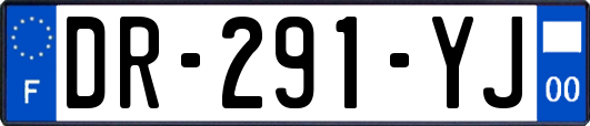 DR-291-YJ