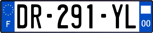 DR-291-YL