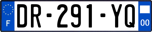 DR-291-YQ
