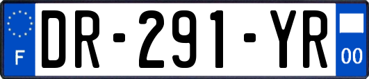 DR-291-YR