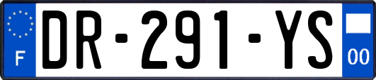 DR-291-YS