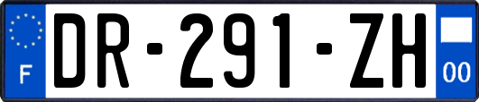 DR-291-ZH