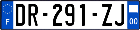 DR-291-ZJ